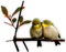 oiseaux - kostenlos png Animiertes GIF