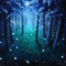 Y.A.M._Fantasy forest background - Бесплатни анимирани ГИФ анимирани ГИФ