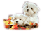 Kaz_Creations Autumn Animals Dogs Dog Pup 🐶 - png gratuito GIF animata