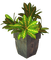 Plante - Free PNG Animated GIF