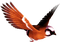 ptak - безплатен png анимиран GIF