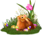 Easter.Cluster.Bunny.Rabbit.Flowers.Eggs.Grass - gratis png geanimeerde GIF