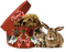 chats & chien déco - GIF animate gratis