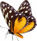 mariposa - zdarma png animovaný GIF