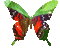 Butterfly - Бесплатный анимированный гифка анимированный гифка