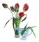 vase of flowers bp - gratis png geanimeerde GIF