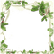 Cadre.Frame.green.plants.Nature.Victoriabea - PNG gratuit GIF animé