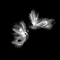 Mariposas. - Free animated GIF Animated GIF