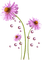 fleur - gratis png animerad GIF