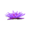 kikkapink deco scrap lily purple flower - PNG gratuit GIF animé