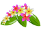 Frangipani Flower - png grátis Gif Animado