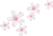 soave deco flowers scrap white pink - png gratuito GIF animata