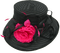 chapeau - безплатен png анимиран GIF