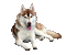Hond - Безплатен анимиран GIF анимиран GIF