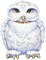 Bílý sovík - Δωρεάν κινούμενο GIF κινούμενο GIF
