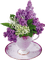 patymirabelle lilas muguet