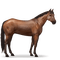 brown horse - nemokama png animuotas GIF
