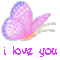 i love you pretty butterfly rainbow gif bug insect - Free animated GIF