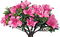 FLORES - 無料png アニメーションGIF