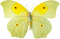 All  my butterflys - darmowe png animowany gif