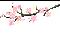 sakura/cherry blossom - GIF animado grátis Gif Animado