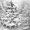Y.A.M._New year Christmas background black-white