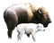 animals bp - безплатен png анимиран GIF