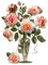 minou-pink-flower-rose-roses-Rose, fleur, roses-rose fiori rosa-rosa blommor-rosor - PNG gratuit GIF animé