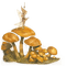 Pilze, Herbst, Elf - bezmaksas png animēts GIF