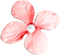 soave deco flowers scrap pink - png gratuito GIF animata
