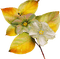 Kaz_Creations Deco Autumn  Colours - png gratis GIF animado