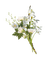 Flower Bouquet - PNG gratuit GIF animé