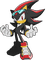 Sonic Riders - gratis png animerad GIF