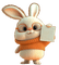 nbl-rabbit - бесплатно png анимированный гифка