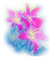 fleur violette.Cheyenne63 - bezmaksas png animēts GIF