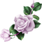 roses  Bb2 - kostenlos png Animiertes GIF
