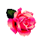pink rose glitter - Bezmaksas animēts GIF animēts GIF