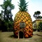 Pineapple House - nemokama png animuotas GIF