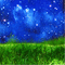 Background night stars grass