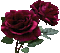 rosas gif-l - Nemokamas animacinis gif animuotas GIF