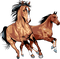 chevaux - nemokama png animuotas GIF
