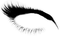 oog - Free PNG Animated GIF