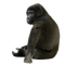 mono - Free PNG Animated GIF