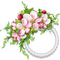 minou52-cornice rotonda -fiori -bianchi-frame-rund-blommor-vit - Free PNG Animated GIF
