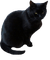 Cats'n'Kittens - png gratis GIF animado
