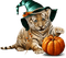 tiger  tigre animal pumpkin citrouille kürbis   autumn automne herbst   tube deco  halloween - gratis png geanimeerde GIF