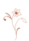 deco flowers anastasia - kostenlos png Animiertes GIF