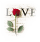 love - kostenlos png Animiertes GIF