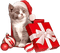 soave animals cat christmas winter - бесплатно png анимированный гифка