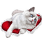 Kaz_Creations Cats Cat Kittens Kitten - бесплатно png анимированный гифка